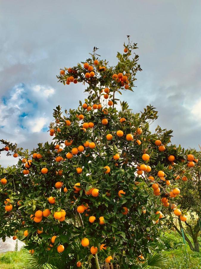 Appartamento Villa Lucia SantʼEufemia Lamezia Εξωτερικό φωτογραφία